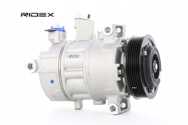 RIDEX 447K0119 COMPRESSEUR DE CLIMATISATION PXE16 PAG 46 R134A VERS VW TIGUAN (5N)