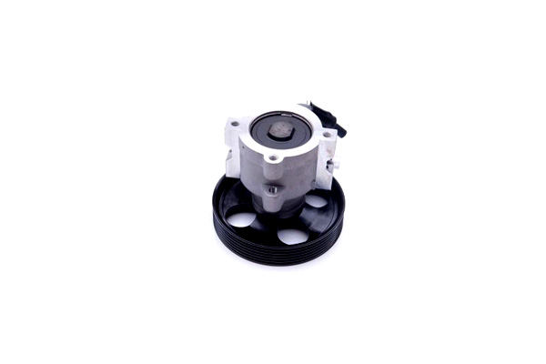 ESEN SKV POMPE AMPLIFICATEUR CITROEN XSARA