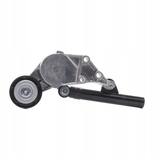 RIDEX 540T0010 TENDEUR COURROIE EN V MULTICANAL Ø70MM VERS SEAT INCA (6K9)