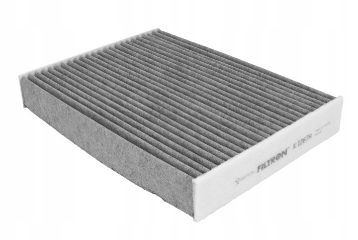 FILTRE POW.KABINY DAF XF95 02- CARBONIQUE