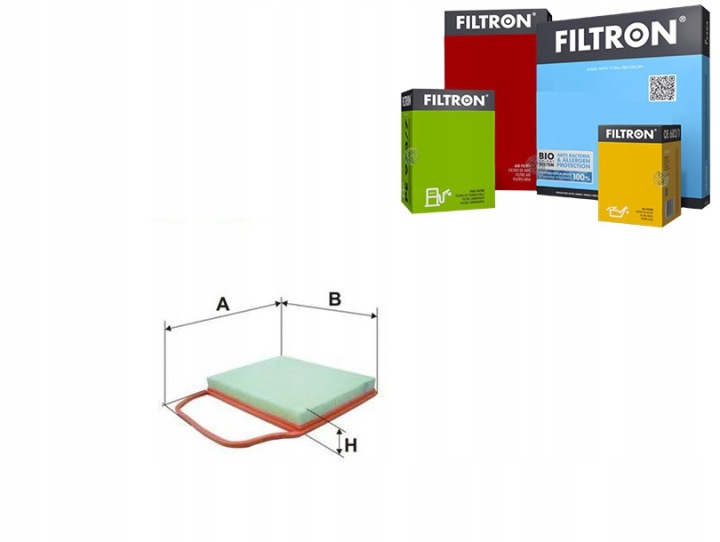FILTRON AP 025/1 C 36004