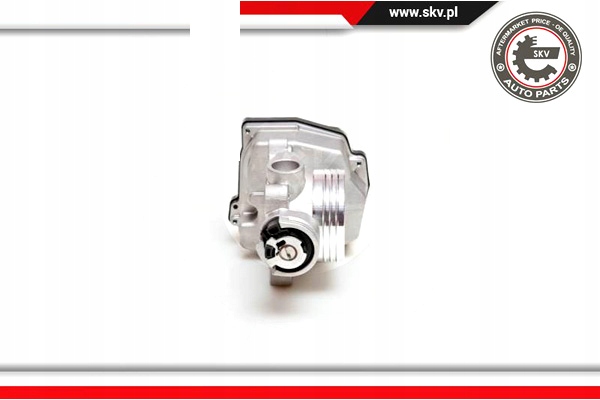 ESEN SKV CARROSSERIE PAPILLON DES GAZ PEUGEOT 1007 PARTENAIRE C2 C3 BERLINGO