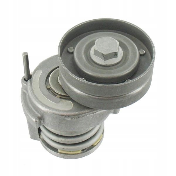 SKF VKM 31047 GALET TENDEUR AUDI