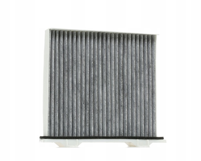 STARK SKIF-0170109 FILTRE VENTILATION ESPACES PASAZERSKIEJ FILTRE AVEC WEGLEM