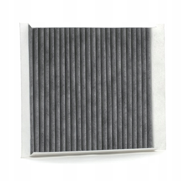 RIDEX 424I0319 FILTRE VENTILATION ESPACES PASAZERSKIEJ FILTRE AVEC WEGLEM