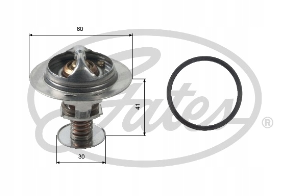 TERMOSTATO GATES TH34882G1 