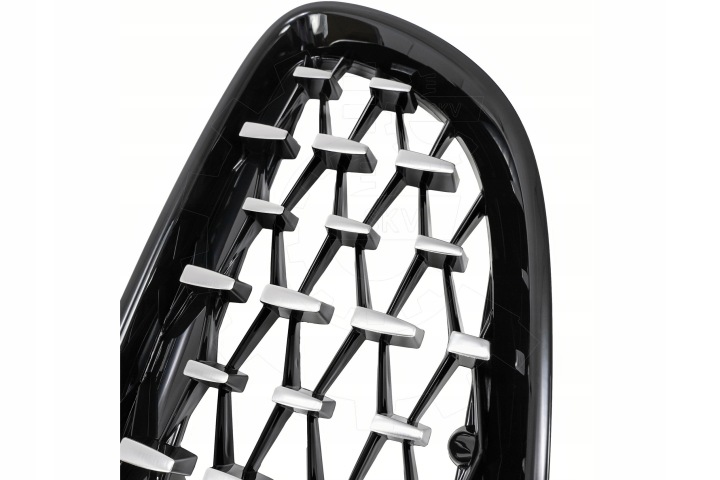 SKV GRILLE GRILLES BMW Z4 E89 51137191509