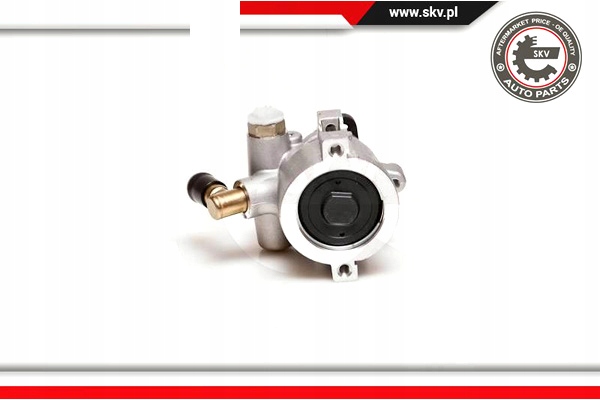 ESEN SKV POMPE AMPLIFICATEUR 10SKV053 DSP120 FORD ESCORT V VI ORION III