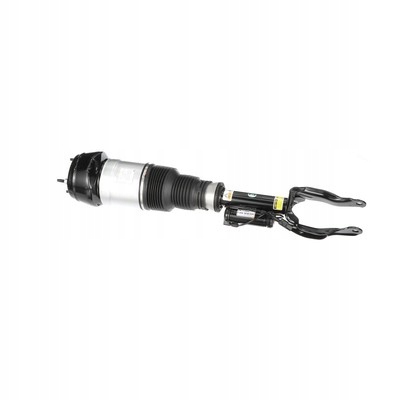 AMORTISSEUR PNEUMATIQUE ARNOTT AS-3061