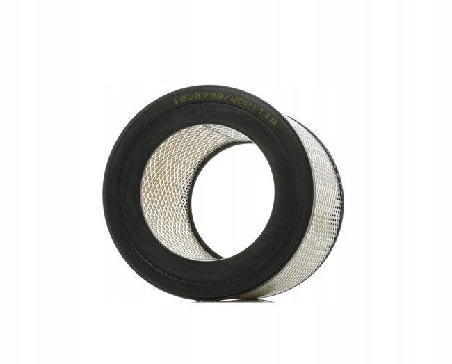 RIDEX 8A0141 FILTRE AIR