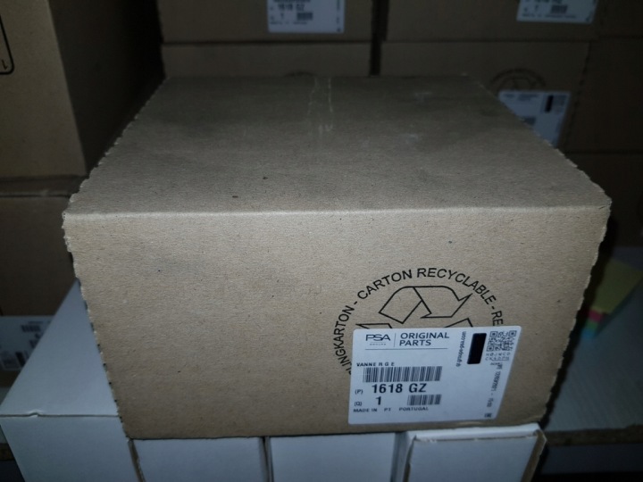 SOUPAPE RECYCLAGE GAZ D'ÉCHAPPEMENT EGR EG10396-12B1 DELPHI