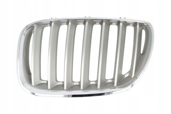 GRILLE RADIATOR (GRILL) BLIC 6502-07-0095997P photo 1 - milautoparts-fr.ukrlive.com