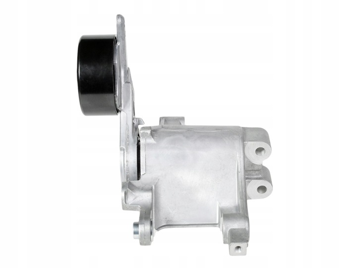 GALET TENDEUR AVEC TENDEUR TOYOTA HILUX 2.5 3.0D 01