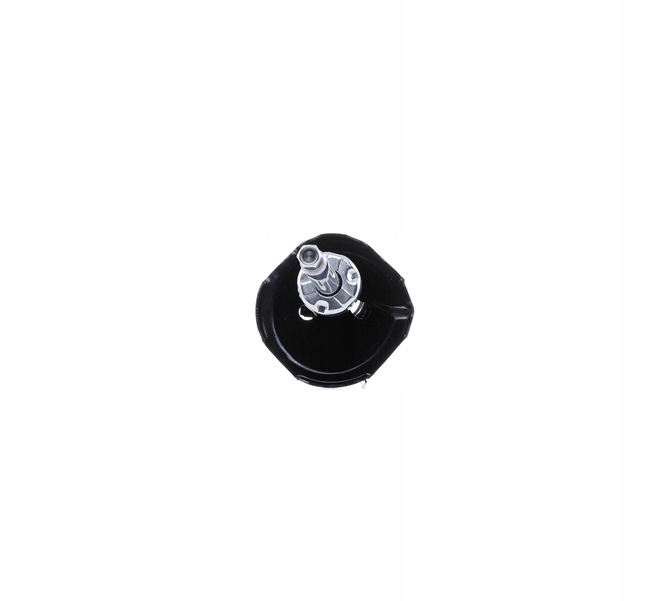 RIDEX 854S0300 AMORTISSEUR GAZEUX ENTRETOISE SUSPENSIONS PRAWO