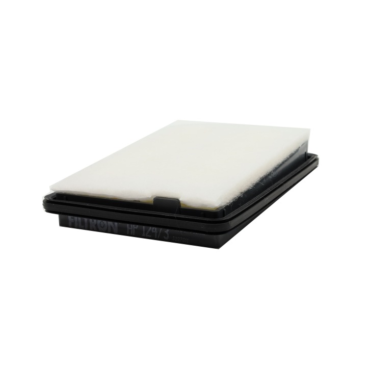 FILTRON FILTRE AIR AP 124/3