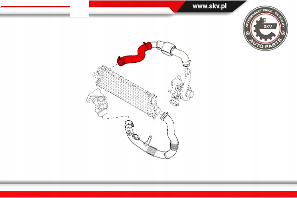 ESEN SKV CABLE DE TURBINA RENAULT TRAFFIC 2.5 DCI 