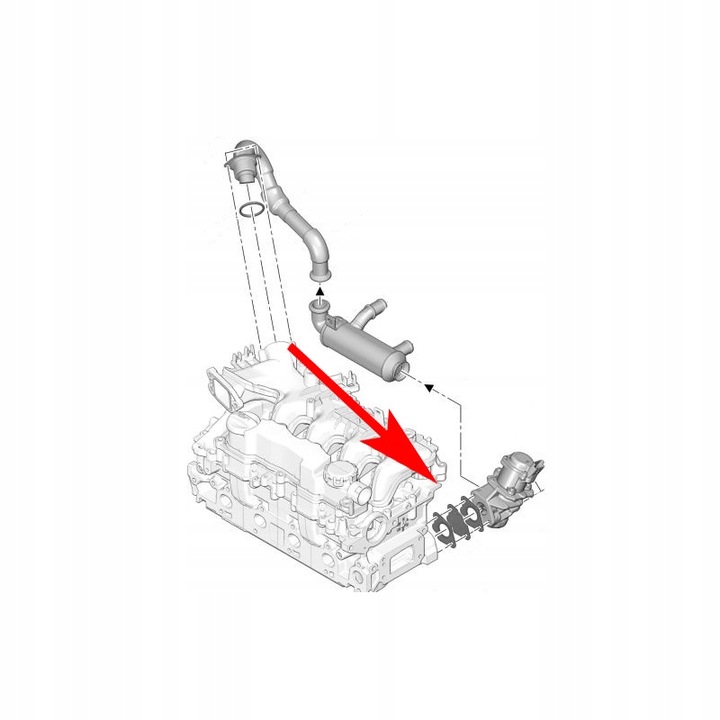 AT-EGR-544/B/21 544 BRIDA CIEGA EGR FORD CITROEN VOL 1.4 1.6 TDCI HDI 