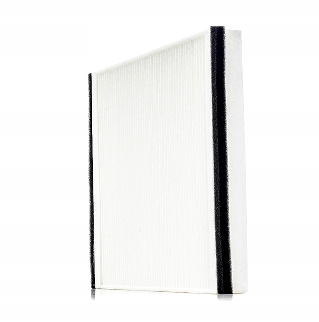 RIDEX 424I0029 FILTRE VENTILATION ESPACES PASAZERSKIEJ FILTRE