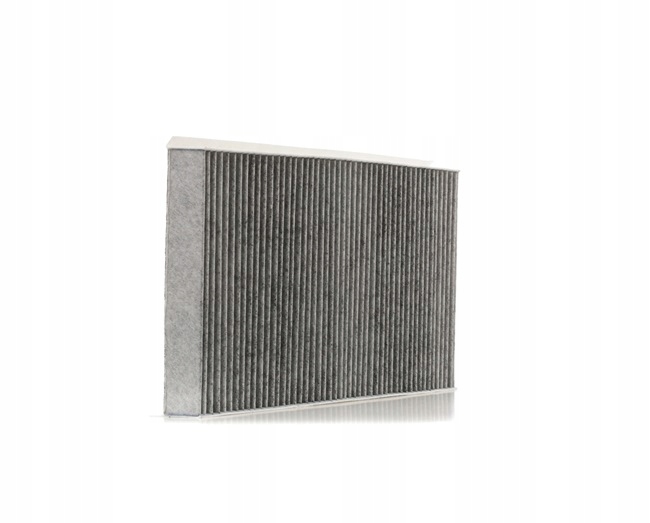 RIDEX 424I0248 FILTRE VENTILATION ESPACES PASAZERSKIEJ FILTRE AVEC WEGLEM