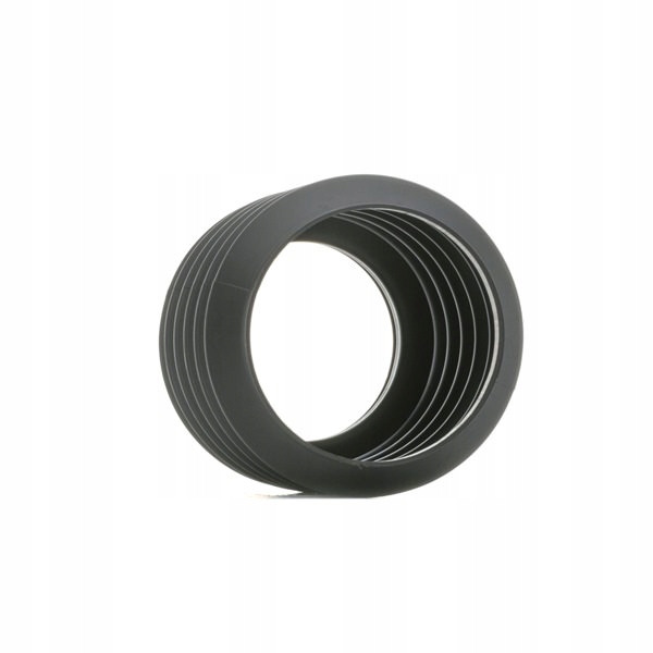 RIDEX PROTECTION SOUFFLET AÉRIEN AMORTISSEUR 3365P0011 AXE AVANT SUR