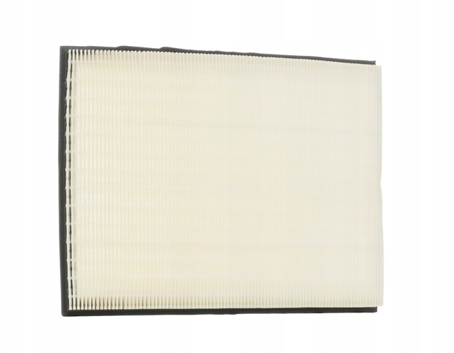 RIDEX 8A0052 FILTRE AIR