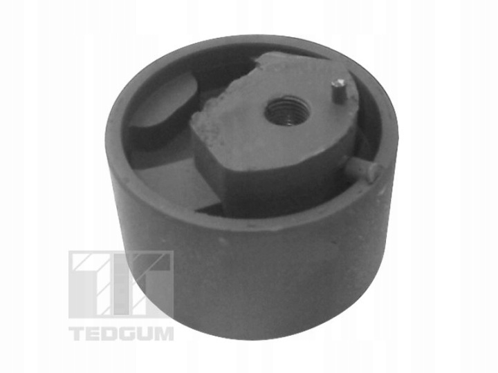 TEDGUM 00129963 LOZYSKOWANIE MOTEUR