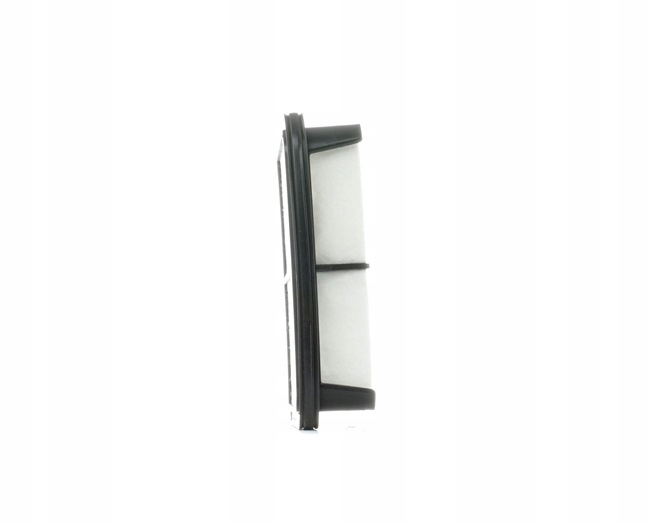 RIDEX 8A0427 FILTRE AIR