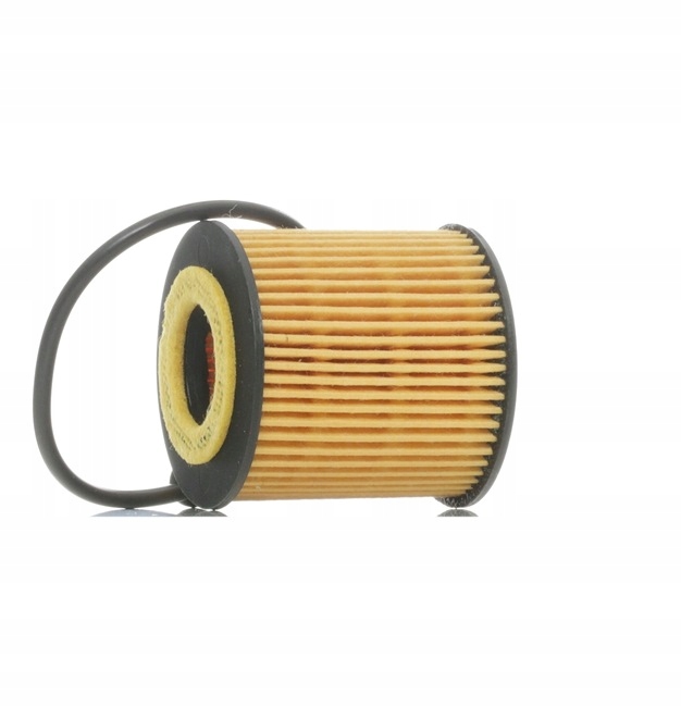 RIDEX 7O0077 FILTRE HUILES INSERT FILTRE VERS SMART FORTWO COUPÉ (451)