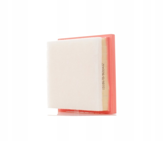 RIDEX 8A0404 FILTRE AIR