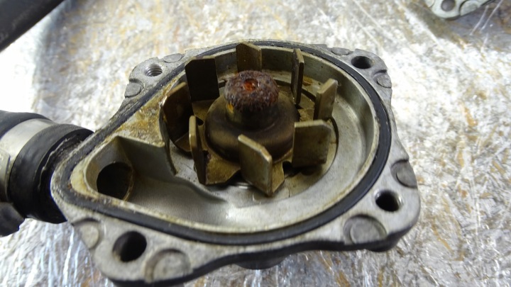 HONDA RADIO 500 PC26 POMPE À EAU CHÂSSIS PROTECTION
