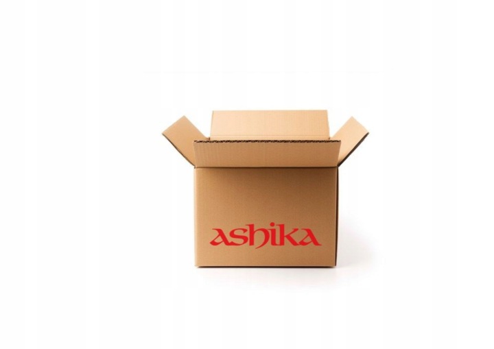 ASHIKA 129-0L-L02 GALET DIRECTIONNELLE GUIDE COURROIE EN V ZEBATY