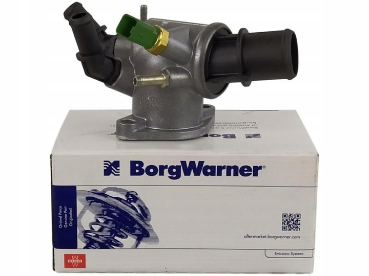 THERMOSTAT JEU AVEC CHÂSSIS 410049.88D/WAH