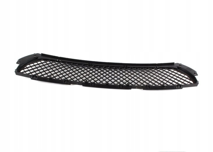 GITTER STOSSFANGER VORN BMW E46 51117893331