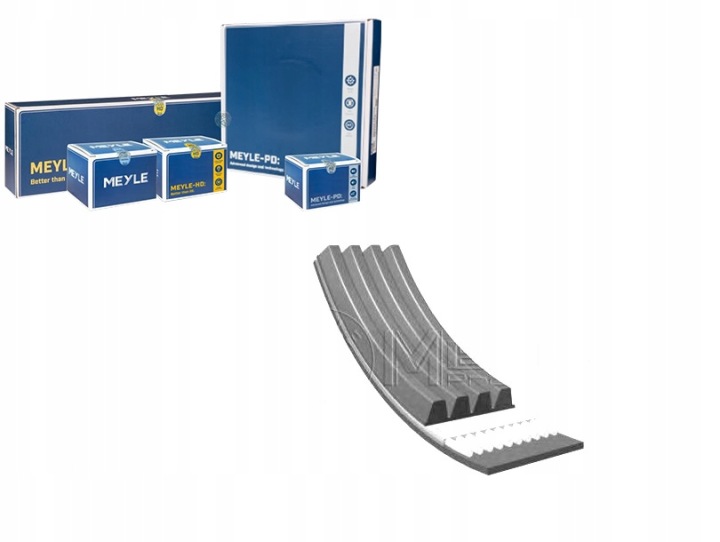 COURROIE MULTICANAL 4PK755