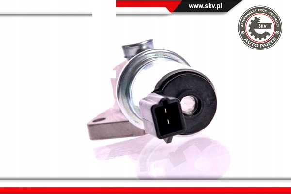 ESEN SKV MOTEUR PAS À PAS F53E 9F715 AA 08SKV226 F53E 9F715 AB 3909620