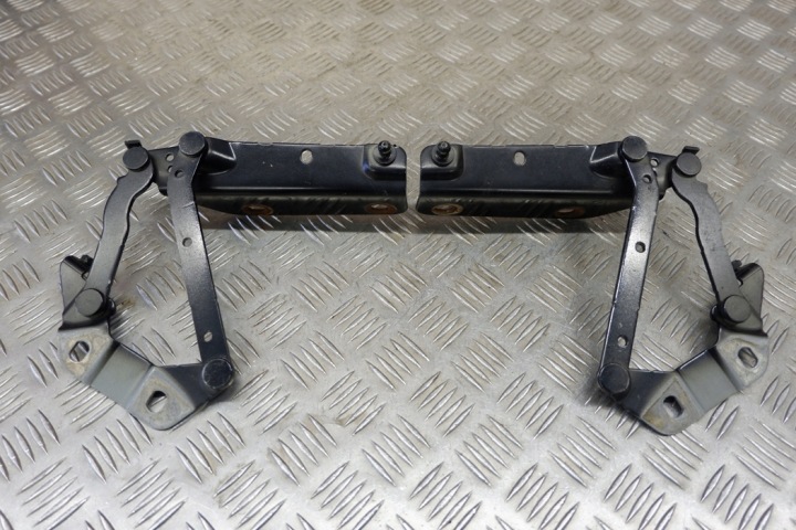 ENSEMBLE CHARNIÈRES CAPOTS LAND ROVER RANGE ROVER EVOQUE (L538) 6H5216800AC
