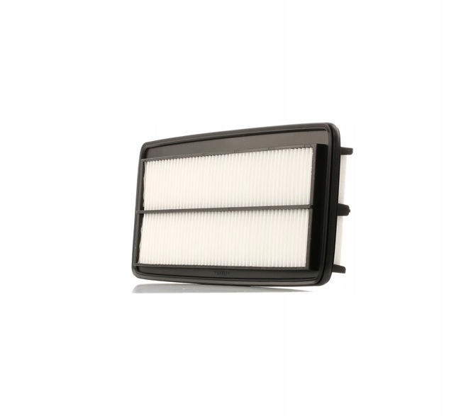 RIDEX 8A0333 FILTRE AIR