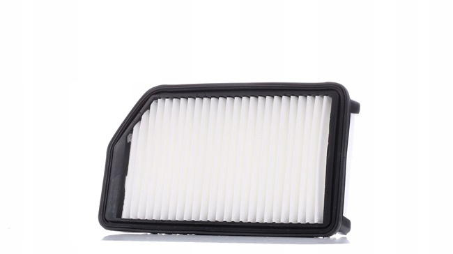 RIDEX 8A0413 FILTRE AIR VERS HYUNDAI I30 (FD) VERS KIA CEE'D (JD) FILTRE