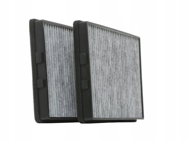 RIDEX 424I0015 FILTRE VENTILATION ESPACES PASAZERSKIEJ FILTRE AVEC WEGLEM