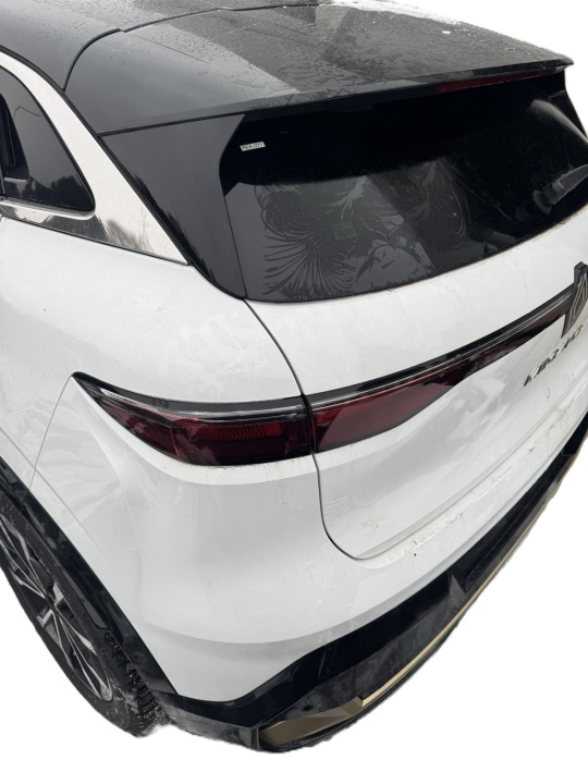 RENAULT MEGANE V E-TECH COUVERCLES DE COFFRE COUVERCLES DE COFFRE ARRIÈRE ARRIÈRE BIXUF OV369