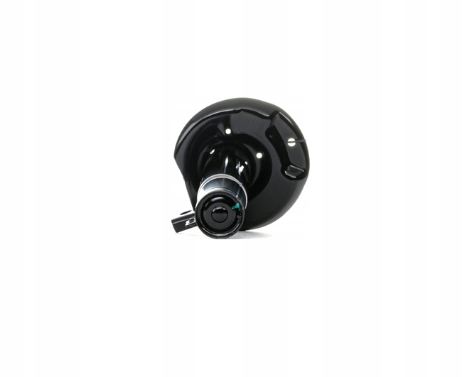 2 CV RIDEX 854S0006 AMORTISSEUR GAZEUX ENTRETOISE SUSPENSIONS AVANT