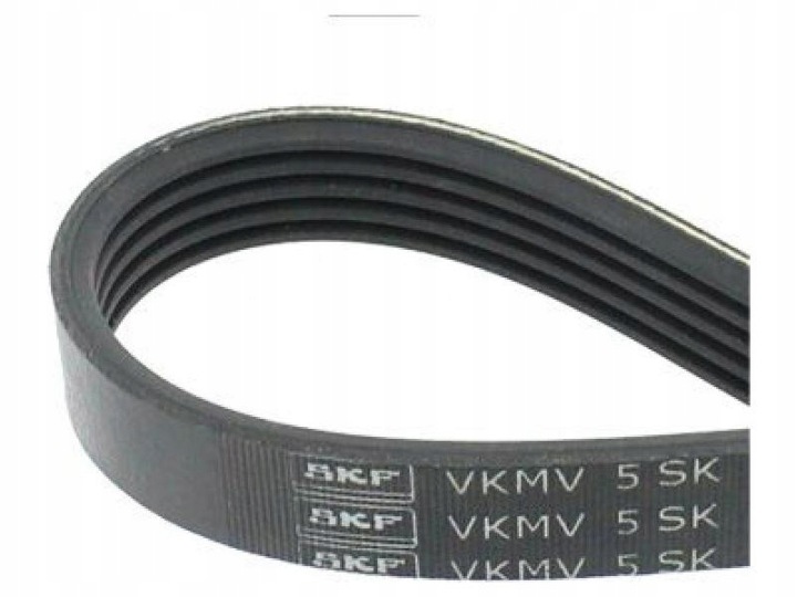 SKF VKMV 5SK926 COURROIE EN V MULTICANAL
