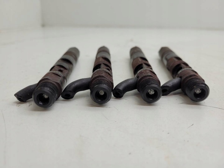 INJECTEURS INJECTEURS ENSEMBLE 8200676774 EJBR05101D RENAULT KANGOO 1.5 DCI