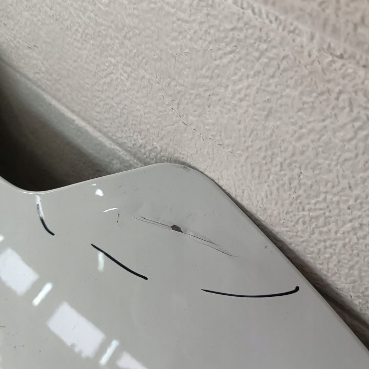 CAPOT RENAULT CLIO V 19- 651224027R