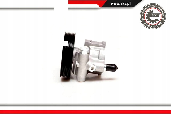 POMPE AMPLIFICATEUR RENAULT LAGUNA MASTER ESEN SKV