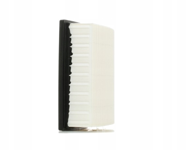 RIDEX 8A0078 FILTRE AIR