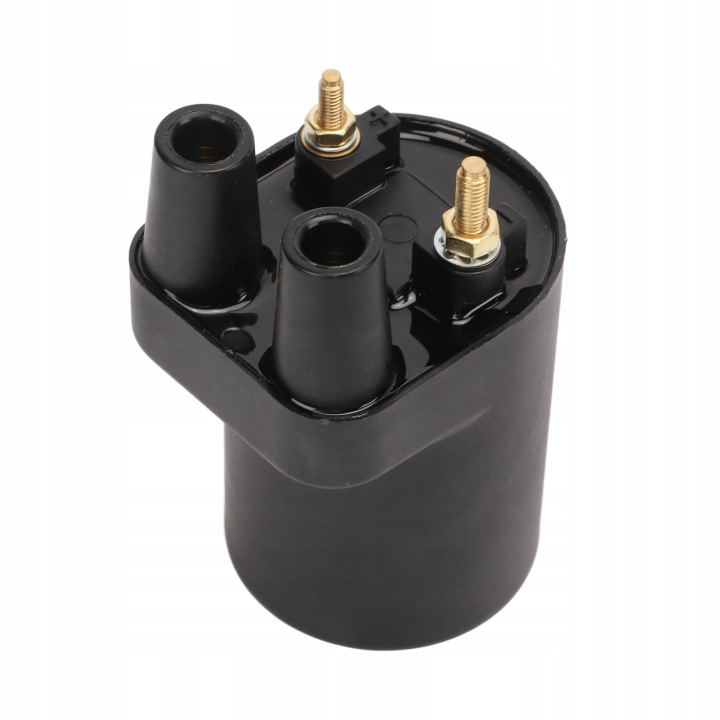 KIT BOBINES D'ALLUMAGE MOTEUR 166 0820 SUBSTITUT POUR MODÈLES F1
