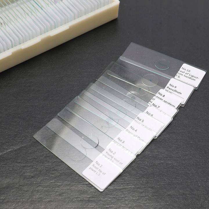 100 SZTUK/ZESTAW BIOLOGICZNE PROBKI VERRES PRZYGOTOWANE PODSTAWOWE ZWIERZETA