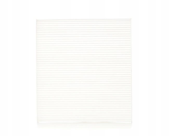 RIDEX 424I0348 FILTRE VENTILATION ESPACES PASAZERSKIEJ