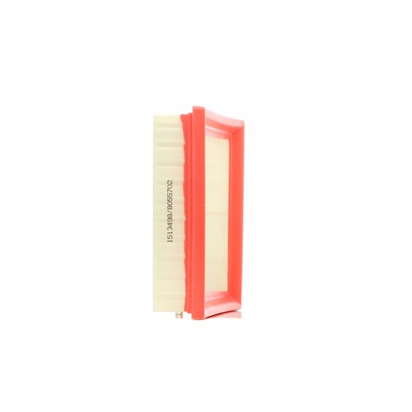 RIDEX 8A0376 FILTRE AIR